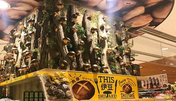 【いちご専門店 いちごBonBonBERRY／伊豆・村の駅 伊豆のへそ店】“伊豆のへそ”で、夏を楽しむイベント尽くしの3日間！パワーアップした縁日イベントやお祭り限定メニューが登場する『いちごの夏祭り』とスイカの振る舞いや重さ当て選手権を8月1日(金)～3日(日)で開催！