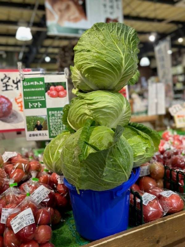 ＼幻と言われる「嬬恋キャベツ419」が登場／地元農家さんのお野菜をお得にゲット　群馬県渋川市『上州・村の駅』「むらの夏野菜まつり」8月2日(土)～8月31日(日)まで開催