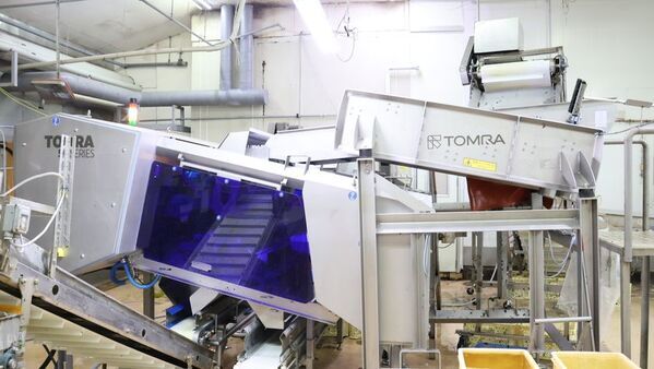 宮崎の冷凍野菜メーカー、イシハラフーズが自由落下式光学選別機TOMRA 5Cの導入後、生産量を倍増