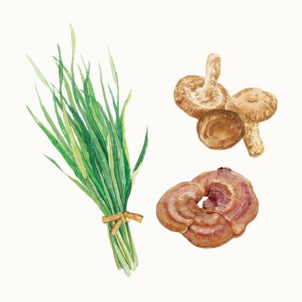 厳選の自然素材をバランスよく配合した液体タイプの健康補助食品「マグマバリア」を8月1日に発売