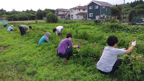 ＜26時間で100万円を達成＞人手不足の農業界と働きづらさを抱える人たちをつなぐ就農支援プログラムのプロジェクト！ネクストゴール200万円を目指して挑戦中　～誰もが「農を職と食に」～