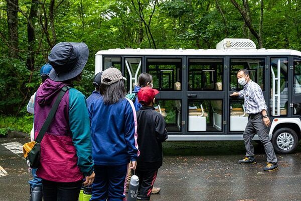 未来の奥入瀬渓流を体験するエコツアー「早朝ランブリングツアー」を8月8日から開催