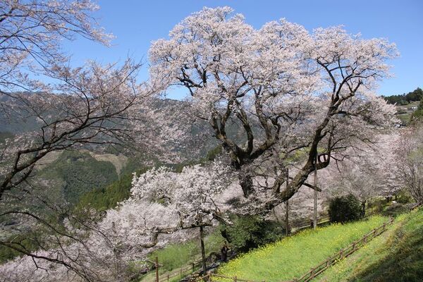 ～「〇〇禁止」から「〇〇で楽しもう」へ　観光客の一極集中から多極分散へと行動変容を促す、「前向き発想」オーバーツーリズム対策動画を公開