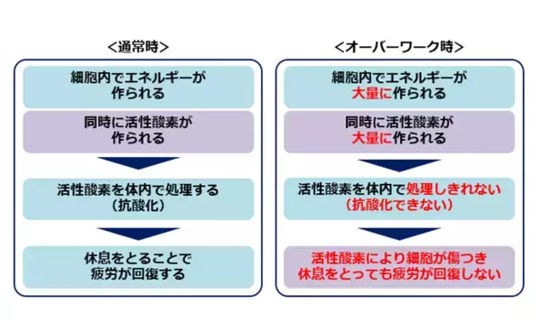 世代間で異なる“夏の疲れ”　特に深刻な40代、インドア化する若者　4人に3人が夏疲労　「見えない怪我」の危険性