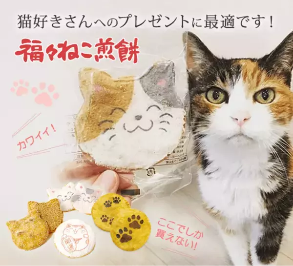 老舗煎餅店みなとやが“にゃんべい”で支援する保護猫譲渡サロン「もんにゃか」が開設3年で362頭を譲渡