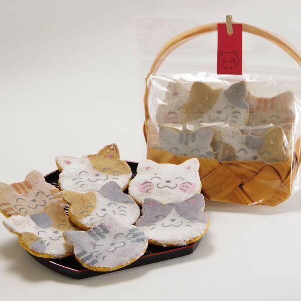 老舗煎餅店みなとやが“にゃんべい”で支援する保護猫譲渡サロン「もんにゃか」が開設3年で362頭を譲渡