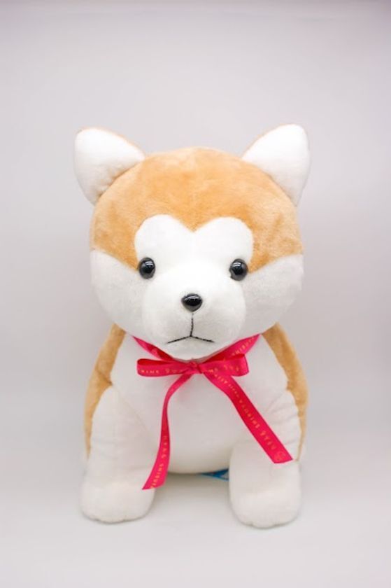 ハチふる、渋谷の魅力を台湾へ――　“台湾の渋谷”とも呼ばれる中山でプロモーション展開