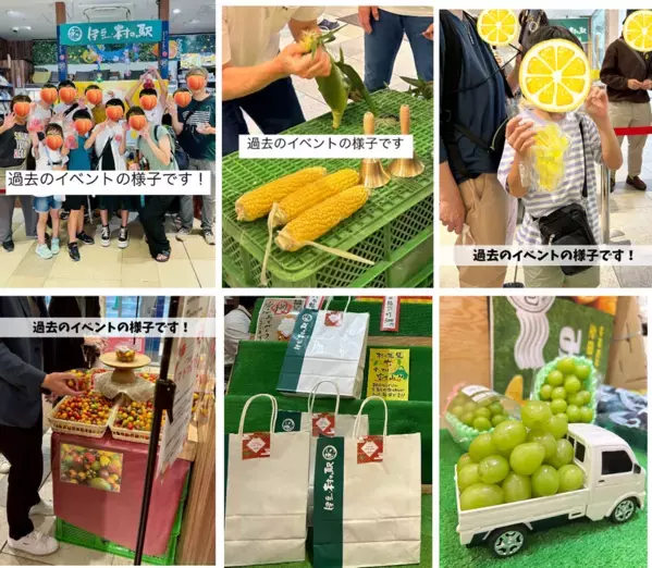 契約農家さんの旬の果物やお野菜が熱海駅で買える！とうもろこし早むきチャレンジやシャインマスカット軽トラつむつむなど夏休みもワクワク美味しい！お得なイベント盛りだくさん