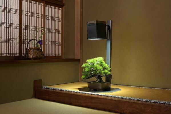 室内で盆栽を楽しむ新時代へ　特許取得の『サイリウムスタンドライト』新発売