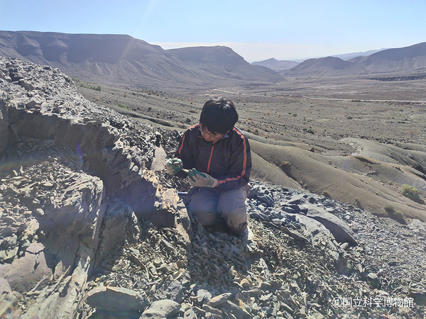 特別展「大絶滅展ー生命史のビッグファイブ」◆注目の見どころ＆展示の内容発表！◆福山雅治さんが　展覧会スペシャルナビゲーターに就任！◆すみっコぐらしとのコラボ決定！◆スペシャルチケット 8月8日(金)発売！