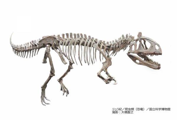 特別展「大絶滅展ー生命史のビッグファイブ」◆注目の見どころ＆展示の内容発表！◆福山雅治さんが　展覧会スペシャルナビゲーターに就任！◆すみっコぐらしとのコラボ決定！◆スペシャルチケット 8月8日(金)発売！