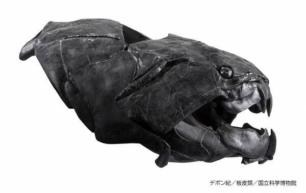 特別展「大絶滅展ー生命史のビッグファイブ」◆注目の見どころ＆展示の内容発表！◆福山雅治さんが　展覧会スペシャルナビゲーターに就任！◆すみっコぐらしとのコラボ決定！◆スペシャルチケット 8月8日(金)発売！