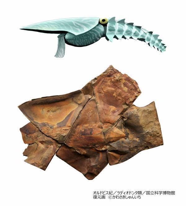 特別展「大絶滅展ー生命史のビッグファイブ」◆注目の見どころ＆展示の内容発表！◆福山雅治さんが　展覧会スペシャルナビゲーターに就任！◆すみっコぐらしとのコラボ決定！◆スペシャルチケット 8月8日(金)発売！