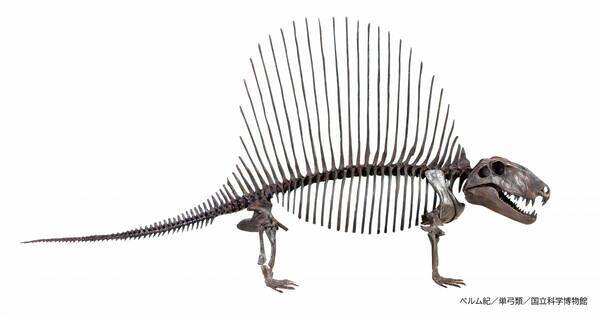 特別展「大絶滅展ー生命史のビッグファイブ」◆注目の見どころ＆展示の内容発表！◆福山雅治さんが　展覧会スペシャルナビゲーターに就任！◆すみっコぐらしとのコラボ決定！◆スペシャルチケット 8月8日(金)発売！