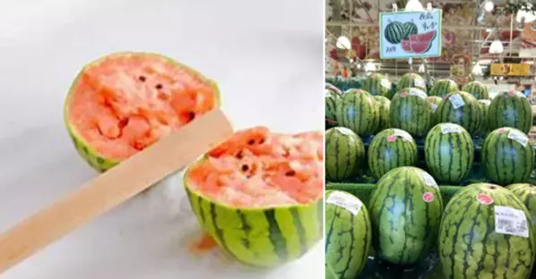 道の駅ローズマリー公園 はなまる市場「夏だ！海だ！はなまる夏まつり2025」開催！2025年8月9日(土)～17日(日)