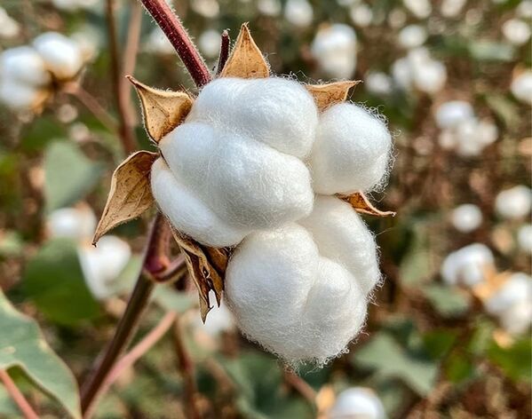 パーソナルケアブランドNUTANT(ニュータント)がQoo10「メガ割」セールに登場！気になるアイテムをお得に購入できるチャンス！