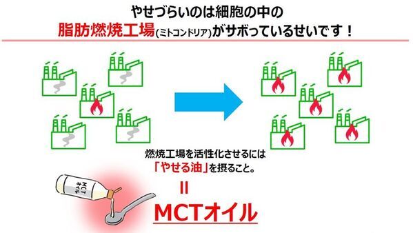2か月で6kg減 医師の実体験から生まれた『やせる油』ダイエット　齋藤真理子医師 書籍発刊記念インタビューを公開