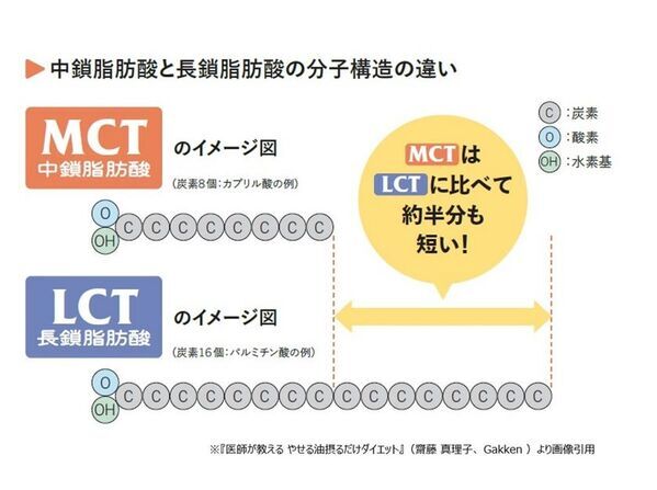 2か月で6kg減 医師の実体験から生まれた『やせる油』ダイエット　齋藤真理子医師 書籍発刊記念インタビューを公開
