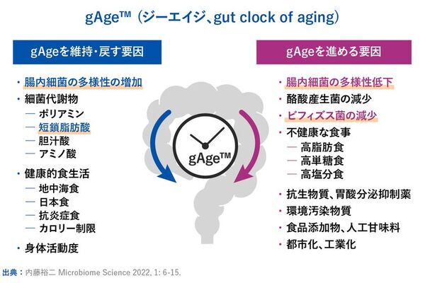 世界最先端の老化研究からわかった、腸内細菌の大事な役割　新コラム『PoA(老化スピード)は変えられる！？』を8月7日にwebサイトで公開