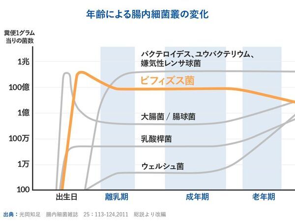 世界最先端の老化研究からわかった、腸内細菌の大事な役割　新コラム『PoA(老化スピード)は変えられる！？』を8月7日にwebサイトで公開
