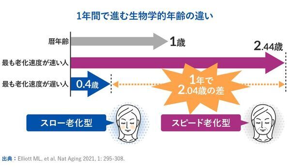 世界最先端の老化研究からわかった、腸内細菌の大事な役割　新コラム『PoA(老化スピード)は変えられる！？』を8月7日にwebサイトで公開