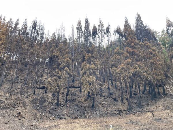 山火事からの復興を応援するイベントに140人出場！「大船渡応援ロゲイニング」9月20日・21日の2日間開催！