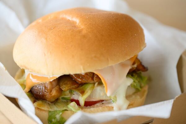 京都の夕日ヶ浦温泉旅館 海舟にて『1泊4食プラン』の販売を開始！「一晩泊まればトドになる」がコンセプトの新プランが登場