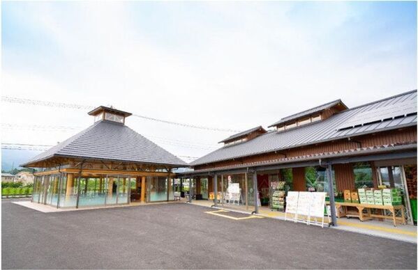 道の駅足柄・金太郎のふるさとで夏休みの思い出づくりを！夏の大イベント大好評開催中