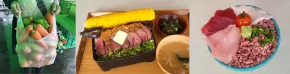 道の駅足柄・金太郎のふるさとで夏休みの思い出づくりを！夏の大イベント大好評開催中