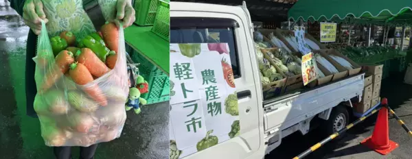 道の駅足柄・金太郎のふるさとで夏休みの思い出づくりを！夏の大イベント大好評開催中