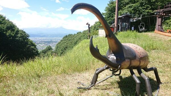 夏限定の巨大昆虫出現＆お宝発掘体験！温泉やBBQも楽しめる佐久平パラダで家族の思い出づくり