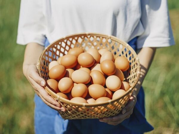 愛知・卵農家直送のレストランが届ける“秋の贅沢”旬の味覚　秋限定メニューを9月5日(金)から提供開始