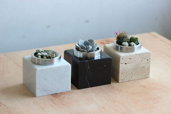 ＜特許技術×天然素材＞多肉植物の根腐れを防ぐ植木鉢「サボテンハウス(R)マーブル」をMakuakeにて先行販売開始
