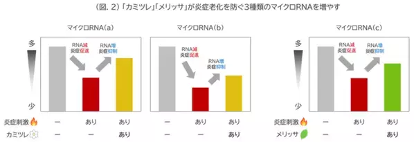 “隠れ老化”である慢性炎症の鎮静に植物でアプローチ(2)