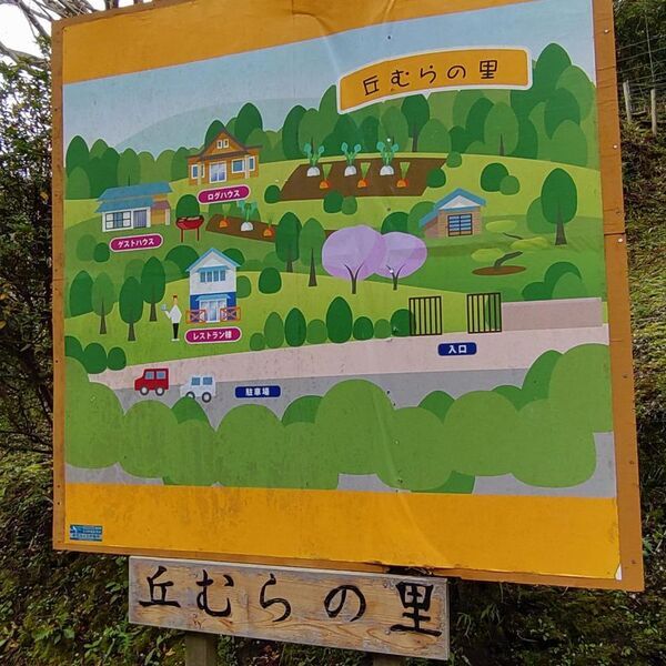 日本ネイチャーリトリート協会　第1回「リトリートアドバイザー養成講座」開催のお知らせ