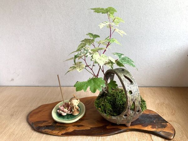 前回開催では12,000人以上が来場！手づくりを通じて広がる交流「金沢ハンドメイドマルシェ2025」10/4(土)・5(日)開催