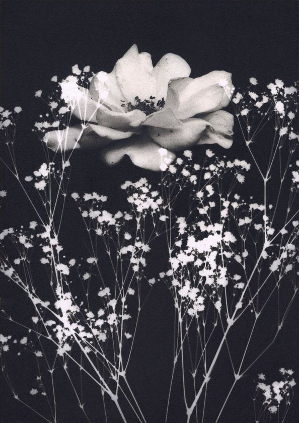 日本・スウェーデン写真学生による国際共同プロジェクト2025開催