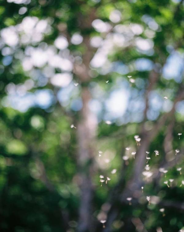 日本・スウェーデン写真学生による国際共同プロジェクト2025開催