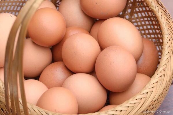 毎年大好評の周遊フェスが、パワーアップして今年も帰ってきた！東京を“まるごと旅する”2日間「TOKYO周穫祭2025」11月22日(土)・23日(日)に開催！