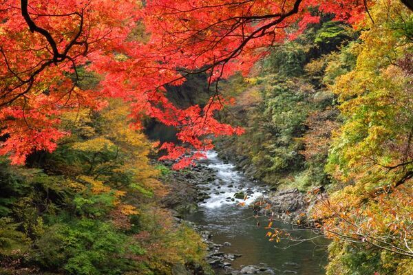 毎年大好評の周遊フェスが、パワーアップして今年も帰ってきた！東京を“まるごと旅する”2日間「TOKYO周穫祭2025」11月22日(土)・23日(日)に開催！