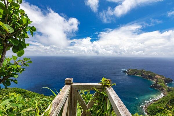 毎年大好評の周遊フェスが、パワーアップして今年も帰ってきた！東京を“まるごと旅する”2日間「TOKYO周穫祭2025」11月22日(土)・23日(日)に開催！