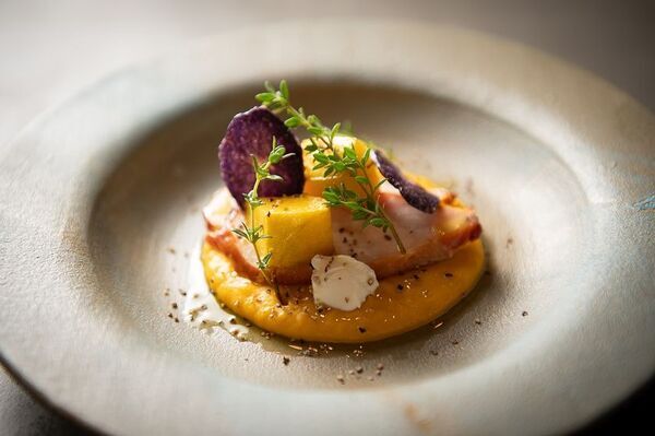 一棟貸しの宿で子どもと楽しむ八ヶ岳産ジビエと狩猟体験　～「猟師に弟子入り体験」と秋の新メニュー10/1から提供開始～