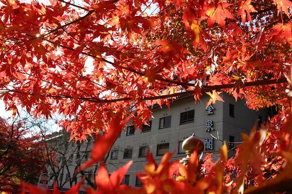 愛知県豊田市「猿投温泉 癒しの宿 金泉閣」が客室とプレミアムラウンジを新設、9月1日(月)に先行予約開始