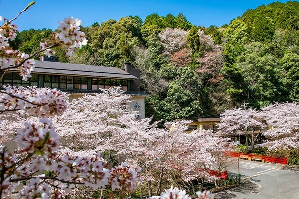 愛知県豊田市「猿投温泉 癒しの宿 金泉閣」が客室とプレミアムラウンジを新設、9月1日(月)に先行予約開始