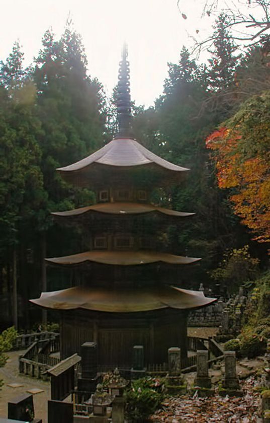 唯一無二のガストロノミーフェス「信州上田まつたけ＆ワイン祭り2025」と松茸料理のフルコース＆ペアリングを楽しめるプレミアムなイベント「第2回ONSEN・ガストロノミーウォーキングin信州上田」を10/5(日)に開催！