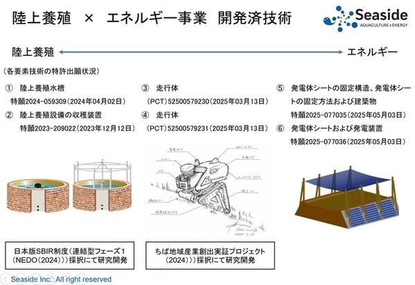 株式会社Seaside　広島大学大学院とバナメイエビに関する共同実験を実施　バナメイエビの摂餌効率における水温の影響