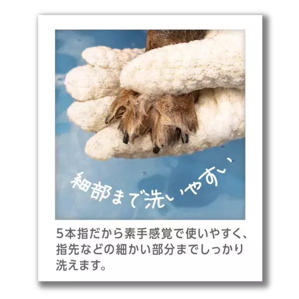 ペットのことならドギーマン♪たっぷり泡でやさしく洗える『もこ泡 シャンプー手ぶくろ』が新発売！