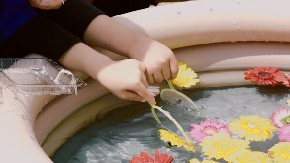 ミライを育む2日間！花とみどりと人がつながる体験型イベントふくおかまち育ミライ×GreenSnap Marche ～花とみどりとみんなのまち育て～