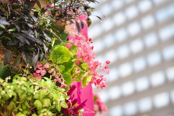 ミライを育む2日間！花とみどりと人がつながる体験型イベントふくおかまち育ミライ×GreenSnap Marche ～花とみどりとみんなのまち育て～