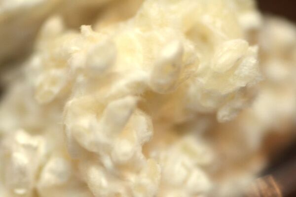 箱根の宿「養生館はるのひかり」農学士の自家製麹調味料と露地栽培野菜で愉しむ＜旨味体験型＞の新プラン　『ベジタリアンと麹(一人旅限定)』を9月より開始